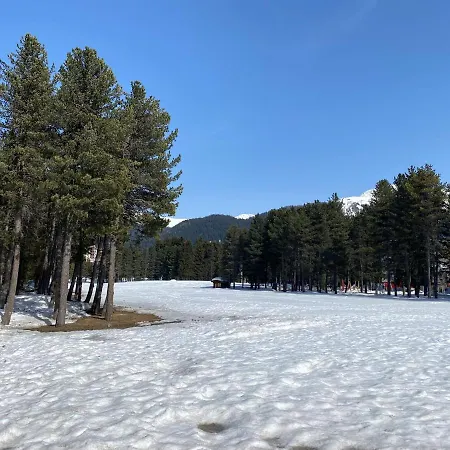 Lägenhet Davos, Residenz Meierhof, Chasa Hubertus Davos